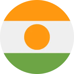Niger flag
