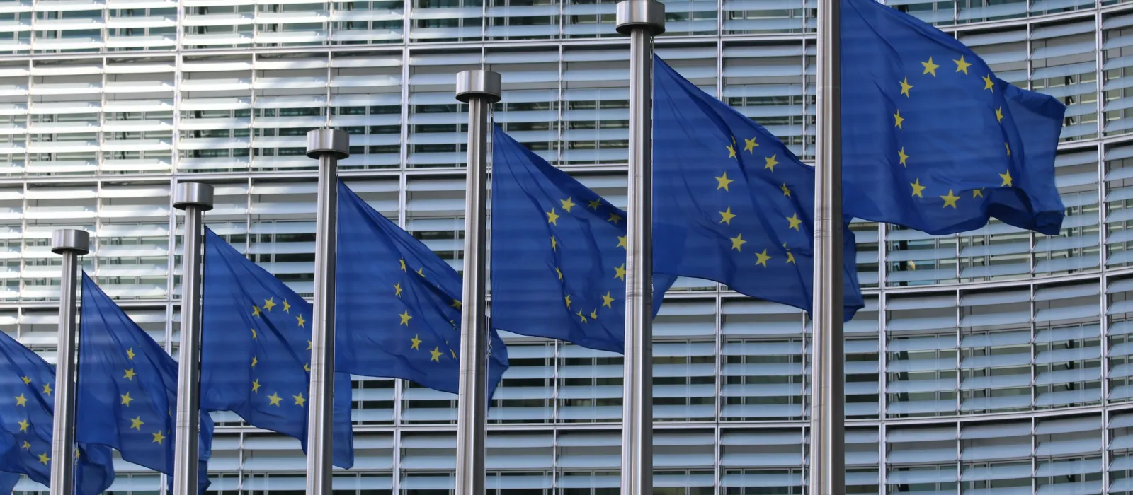 EU flags in front of a building