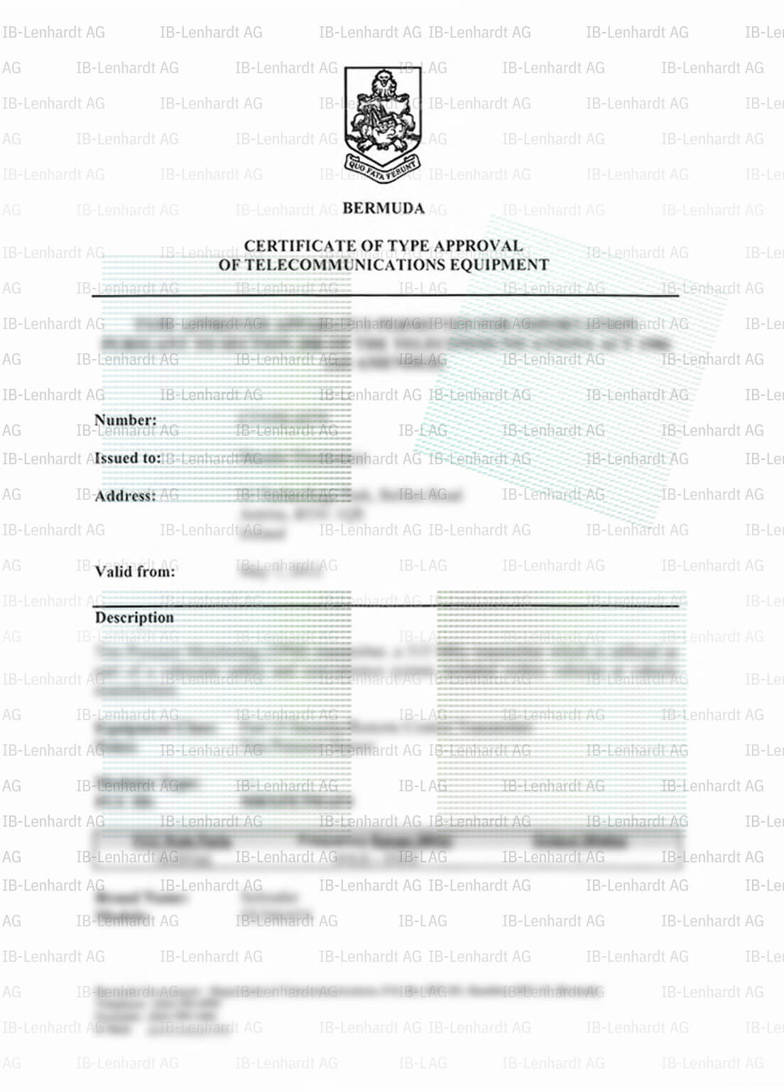 Certificate example Bermuda