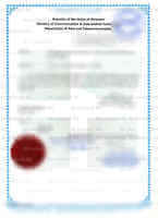 Example Radio Type Approval Certificate for Myanmar